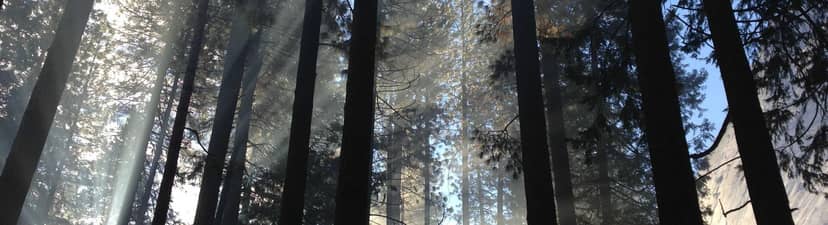 Unauth title WQnUZQZG